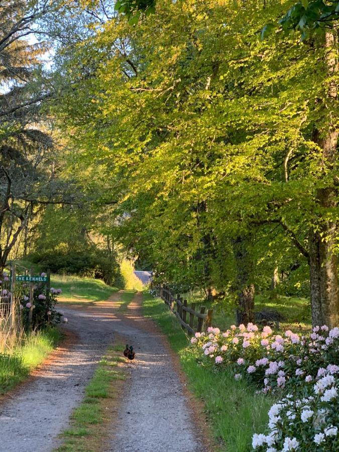 Glentruim And Glamping Pods Séjour chez l'habitant Newtonmore